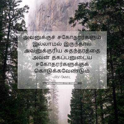 Picture 07 - எண்ணாகமம் 27:10 TAMIRV - அவனுக்குச் - Bible Verse Picture