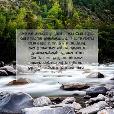 Picture 07 - எண்ணாகமம் 27:17 TAMIRV - அந்தச் சபைக்கு - Bible Verse Picture