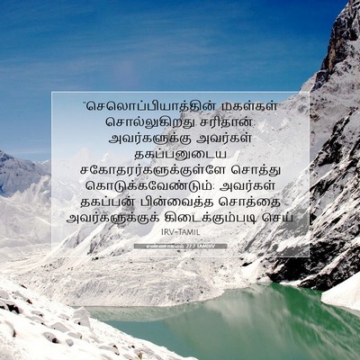 Picture 07 - எண்ணாகமம் 27:7 TAMIRV -  - Bible Verse Picture