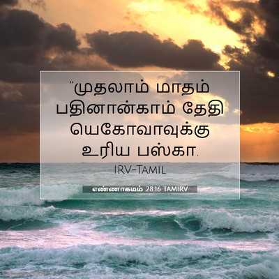 Picture 07 - எண்ணாகமம் 28:16 TAMIRV - “முதலாம் மாதம் - Bible Verse Picture