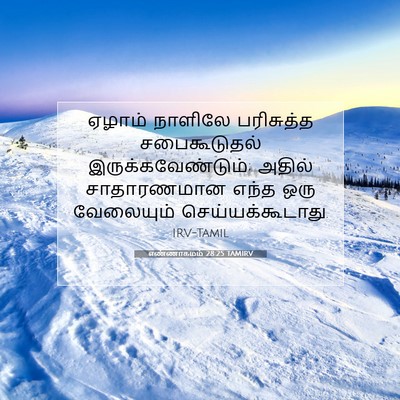 Picture 07 - எண்ணாகமம் 28:25 TAMIRV - ஏழாம் நாளிலே - Bible Verse Picture