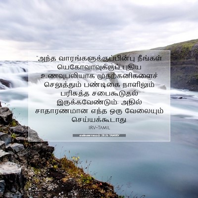 Picture 07 - எண்ணாகமம் 28:26 TAMIRV - “அந்த - Bible Verse Picture