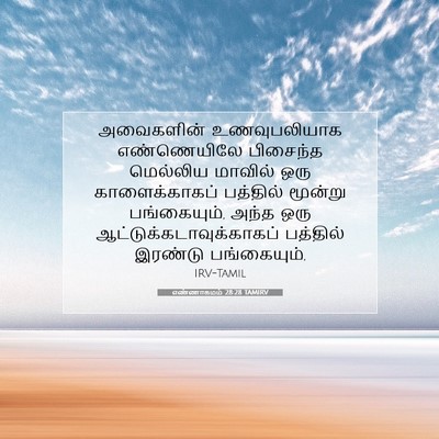 Picture 07 - எண்ணாகமம் 28:28 TAMIRV - அவைகளின் - Bible Verse Picture