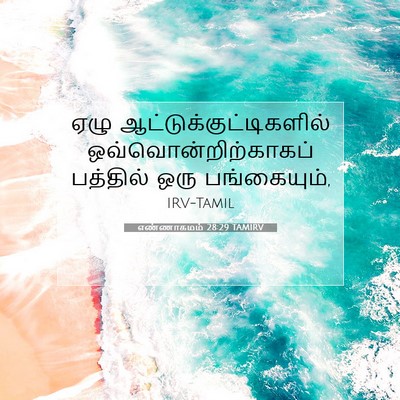 Picture 07 - எண்ணாகமம் 28:29 TAMIRV - ஏழு - Bible Verse Picture
