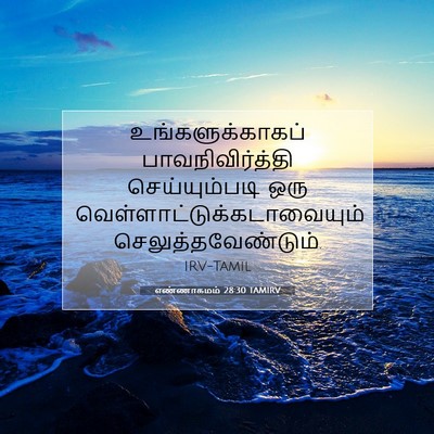 Picture 07 - எண்ணாகமம் 28:30 TAMIRV - உங்களுக்காகப் - Bible Verse Picture