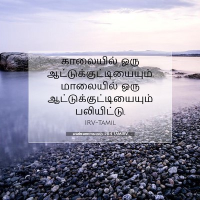 Picture 07 - எண்ணாகமம் 28:4 TAMIRV - காலையில் ஒரு - Bible Verse Picture