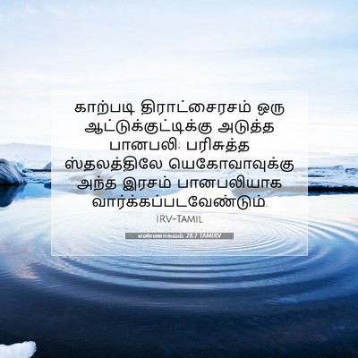 Picture 07 - எண்ணாகமம் 28:7 TAMIRV - காற்படி - Bible Verse Picture