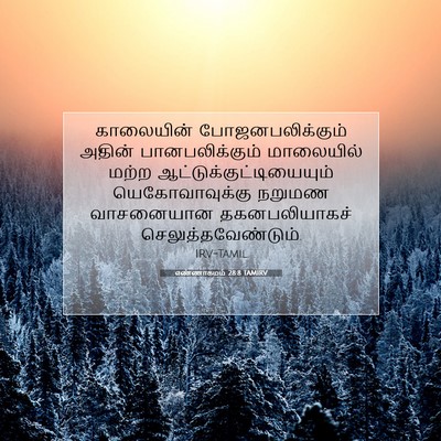 Picture 07 - எண்ணாகமம் 28:8 TAMIRV - காலையின் - Bible Verse Picture