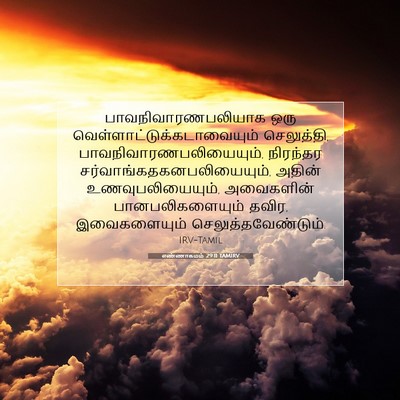 Picture 07 - எண்ணாகமம் 29:11 TAMIRV - பாவநிவாரணபலியாக - Bible Verse Picture