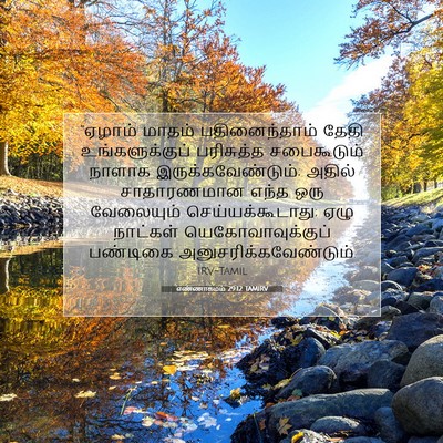 Picture 07 - எண்ணாகமம் 29:12 TAMIRV - “ஏழாம் மாதம் - Bible Verse Picture
