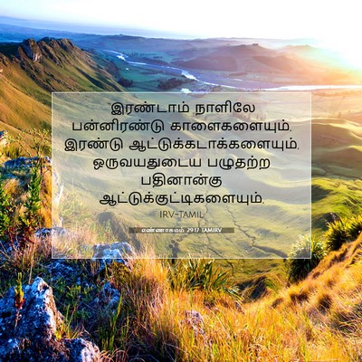 Picture 07 - எண்ணாகமம் 29:17 TAMIRV - “இரண்டாம் நாளிலே - Bible Verse Picture