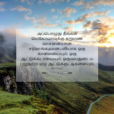 Picture 07 - எண்ணாகமம் 29:2 TAMIRV - அப்பொழுது நீங்கள் - Bible Verse Picture