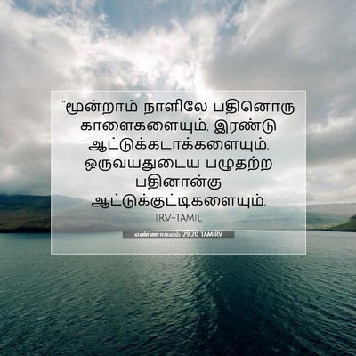 Picture 07 - எண்ணாகமம் 29:20 TAMIRV - “மூன்றாம் நாளிலே - Bible Verse Picture
