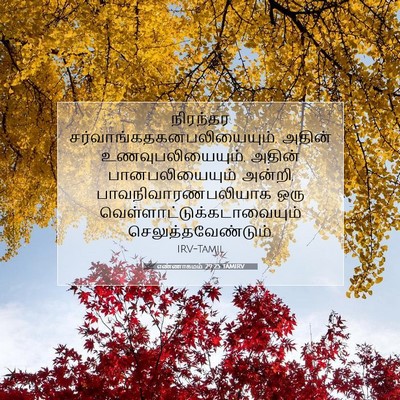 Picture 07 - எண்ணாகமம் 29:25 TAMIRV - நிரந்தர - Bible Verse Picture