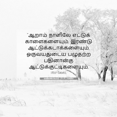 Picture 07 - எண்ணாகமம் 29:29 TAMIRV - “ஆறாம் நாளிலே - Bible Verse Picture