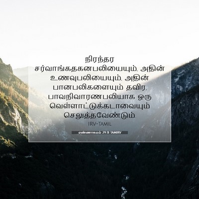 Picture 07 - எண்ணாகமம் 29:31 TAMIRV - நிரந்தர - Bible Verse Picture