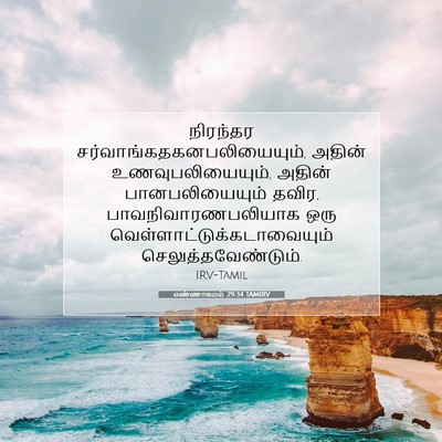 Picture 07 - எண்ணாகமம் 29:34 TAMIRV - நிரந்தர - Bible Verse Picture