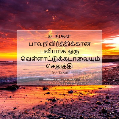 Picture 07 - எண்ணாகமம் 29:5 TAMIRV - உங்கள் - Bible Verse Picture