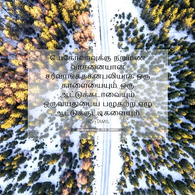 Picture 07 - எண்ணாகமம் 29:8 TAMIRV - யெகோவாவுக்கு - Bible Verse Picture