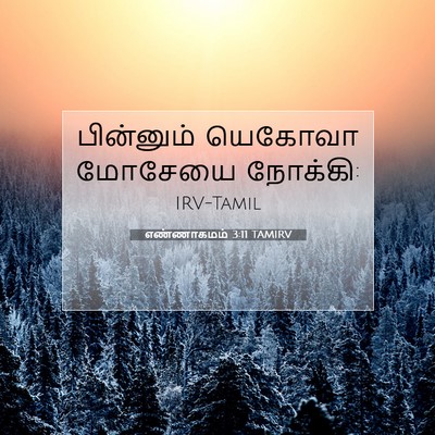 Picture 07 - எண்ணாகமம் 3:11 TAMIRV - பின்னும் யெகோவா - Bible Verse Picture