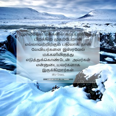 Picture 07 - எண்ணாகமம் 3:12 TAMIRV - “இஸ்ரவேல் - Bible Verse Picture