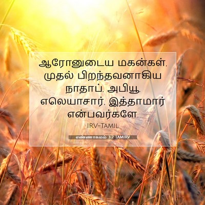 Picture 07 - எண்ணாகமம் 3:2 TAMIRV - ஆரோனுடைய மகன்கள், - Bible Verse Picture