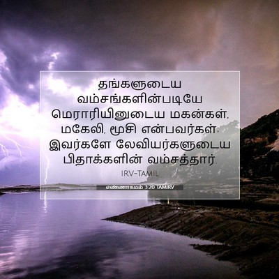 Picture 07 - எண்ணாகமம் 3:20 TAMIRV - தங்களுடைய - Bible Verse Picture