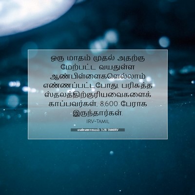 Picture 07 - எண்ணாகமம் 3:28 TAMIRV - ஒரு மாதம் முதல் - Bible Verse Picture
