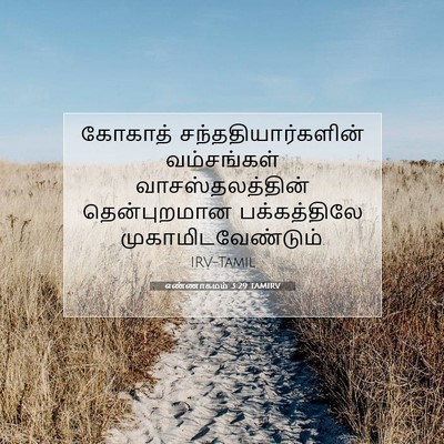 Picture 07 - எண்ணாகமம் 3:29 TAMIRV - கோகாத் - Bible Verse Picture