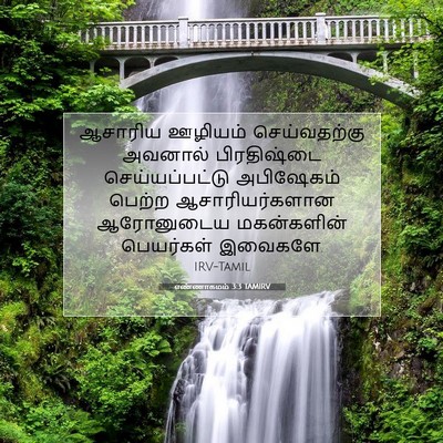 Picture 07 - எண்ணாகமம் 3:3 TAMIRV - ஆசாரிய ஊழியம் - Bible Verse Picture