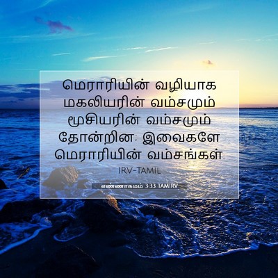 Picture 07 - எண்ணாகமம் 3:33 TAMIRV - மெராரியின் வழியாக - Bible Verse Picture