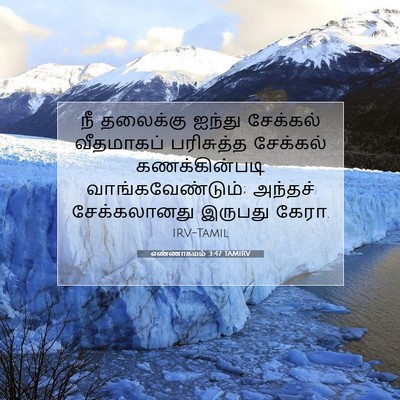 Picture 07 - எண்ணாகமம் 3:47 TAMIRV - நீ தலைக்கு ஐந்து - Bible Verse Picture