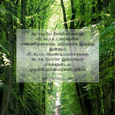 Picture 07 - எண்ணாகமம் 3:49 TAMIRV - அப்படியே - Bible Verse Picture
