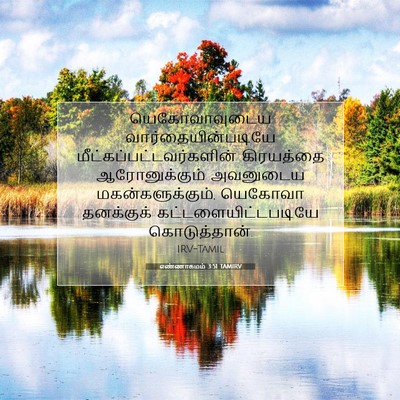 Picture 07 - எண்ணாகமம் 3:51 TAMIRV - யெகோவாவுடைய - Bible Verse Picture