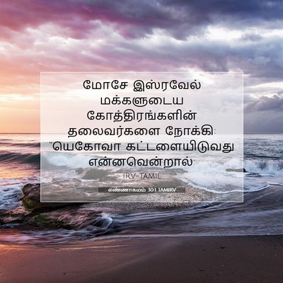 Picture 07 - எண்ணாகமம் 30:1 TAMIRV - மோசே இஸ்ரவேல் - Bible Verse Picture