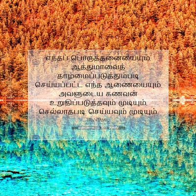 Picture 07 - எண்ணாகமம் 30:13 TAMIRV - எந்தப் - Bible Verse Picture