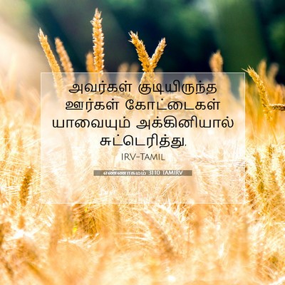 Picture 07 - எண்ணாகமம் 31:10 TAMIRV - அவர்கள் - Bible Verse Picture