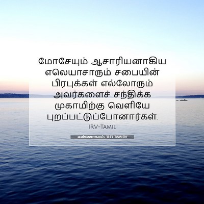 Picture 07 - எண்ணாகமம் 31:13 TAMIRV - மோசேயும் - Bible Verse Picture