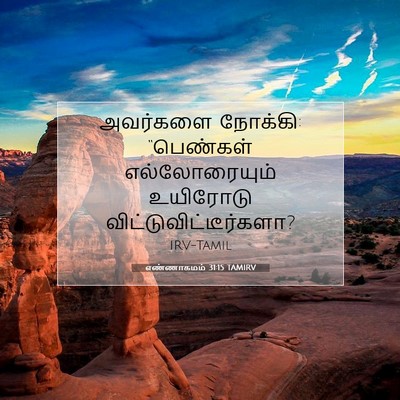 Picture 07 - எண்ணாகமம் 31:15 TAMIRV - அவர்களை நோக்கி: - Bible Verse Picture
