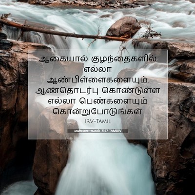 Picture 07 - எண்ணாகமம் 31:17 TAMIRV - ஆகையால் - Bible Verse Picture