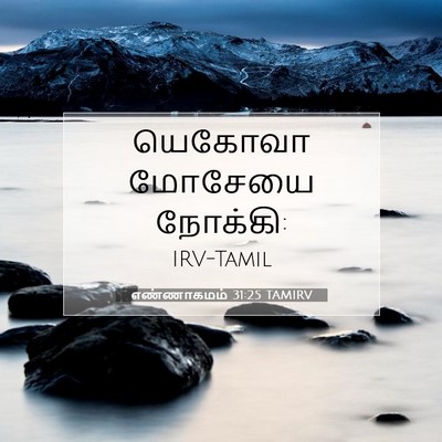 Picture 07 - எண்ணாகமம் 31:25 TAMIRV - யெகோவா மோசேயை - Bible Verse Picture