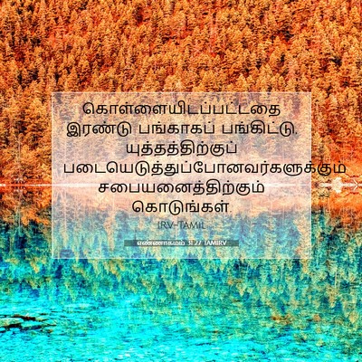 Picture 07 - எண்ணாகமம் 31:27 TAMIRV -  - Bible Verse Picture