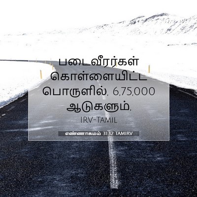Picture 07 - எண்ணாகமம் 31:32 TAMIRV - படைவீரர்கள் - Bible Verse Picture