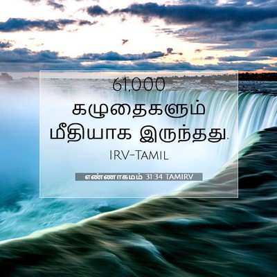 Picture 07 - எண்ணாகமம் 31:34 TAMIRV - 61,000 கழுதைகளும் - Bible Verse Picture