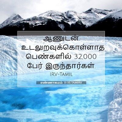 Picture 07 - எண்ணாகமம் 31:35 TAMIRV - ஆணுடன் - Bible Verse Picture