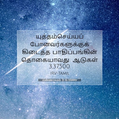 Picture 07 - எண்ணாகமம் 31:36 TAMIRV - யுத்தம்செய்யப் - Bible Verse Picture
