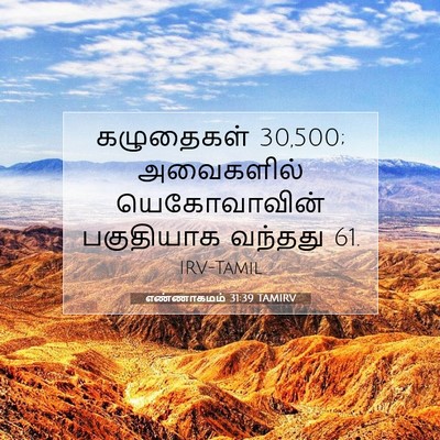 Picture 07 - எண்ணாகமம் 31:39 TAMIRV - கழுதைகள் 30,500; - Bible Verse Picture