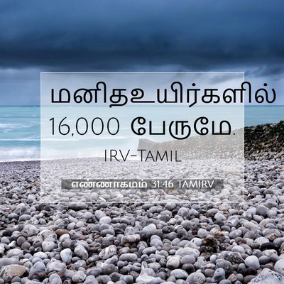 Picture 07 - எண்ணாகமம் 31:46 TAMIRV - மனிதஉயிர்களில் 16,000 - Bible Verse Picture