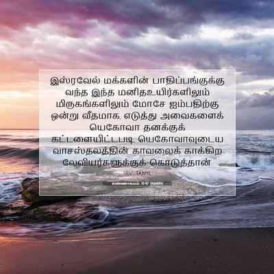 Picture 07 - எண்ணாகமம் 31:47 TAMIRV - இஸ்ரவேல் மக்களின் - Bible Verse Picture