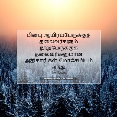 Picture 07 - எண்ணாகமம் 31:48 TAMIRV - பின்பு - Bible Verse Picture